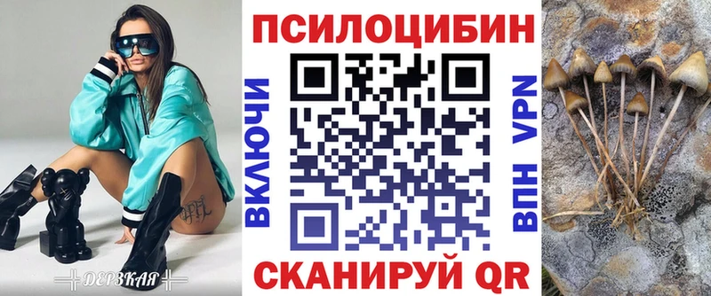 цены   Аксай  Псилоцибиновые грибы мухоморы 